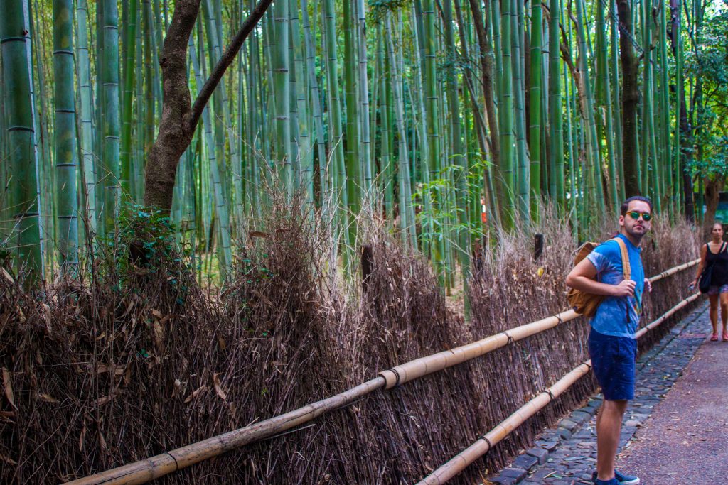 Bamboo Voyage Housse de Couette Bamboo Grove à Arashiyama 