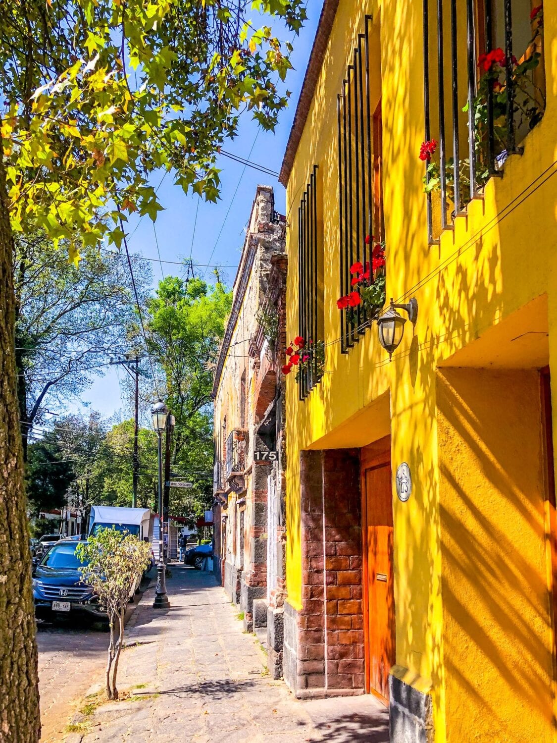 places to visit in coyoacan mexico