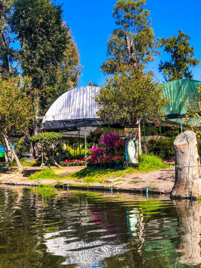 A Complete Guide to the Floating Gardens of Xochimilco: How to Get ...