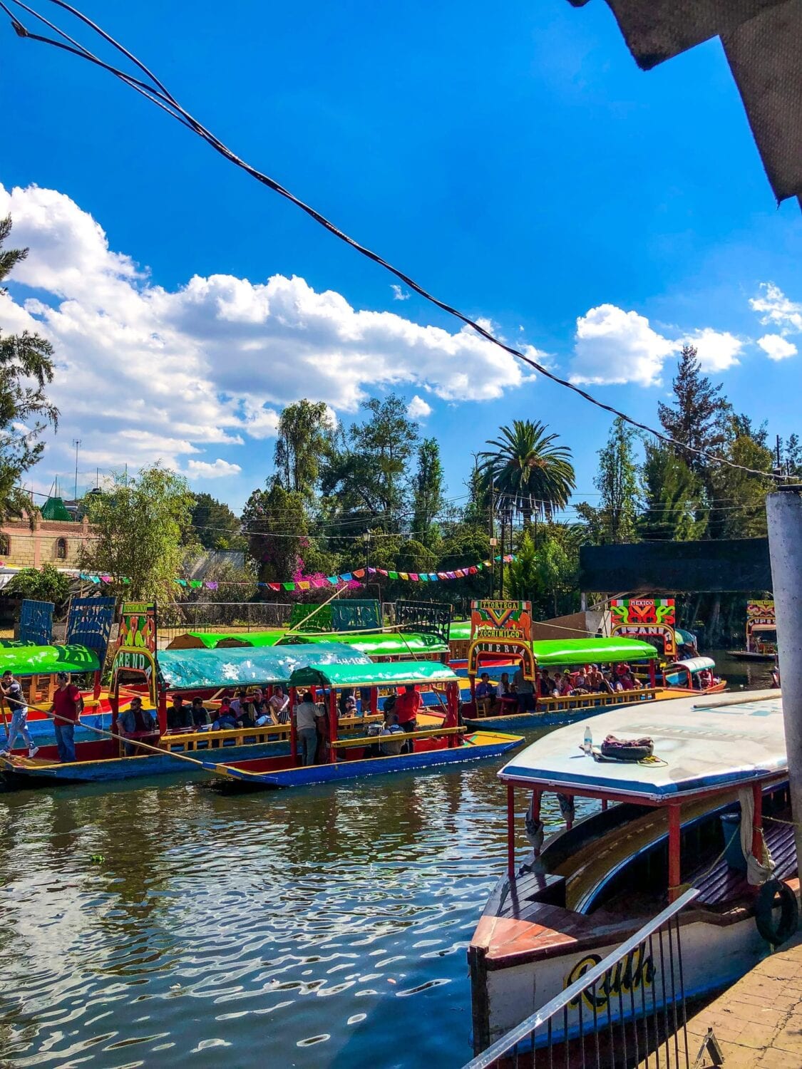 day trip to xochimilco