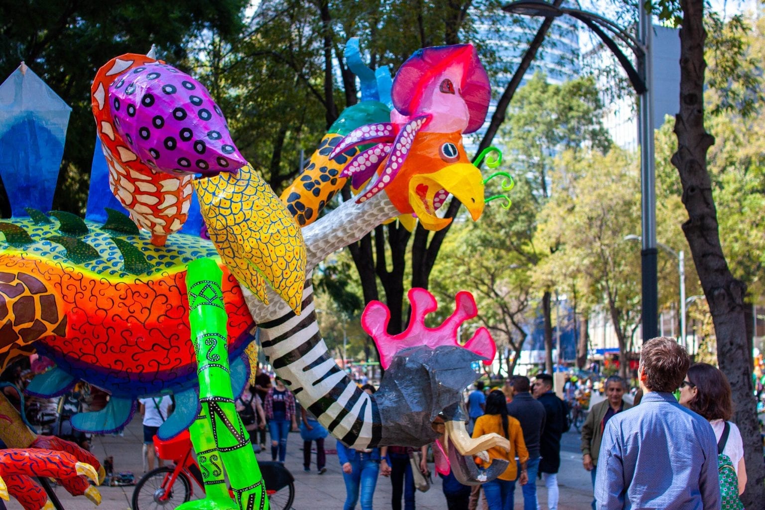 The Best Way to Spend a Sunday Morning in Mexico City, a Wonderful Bike ...