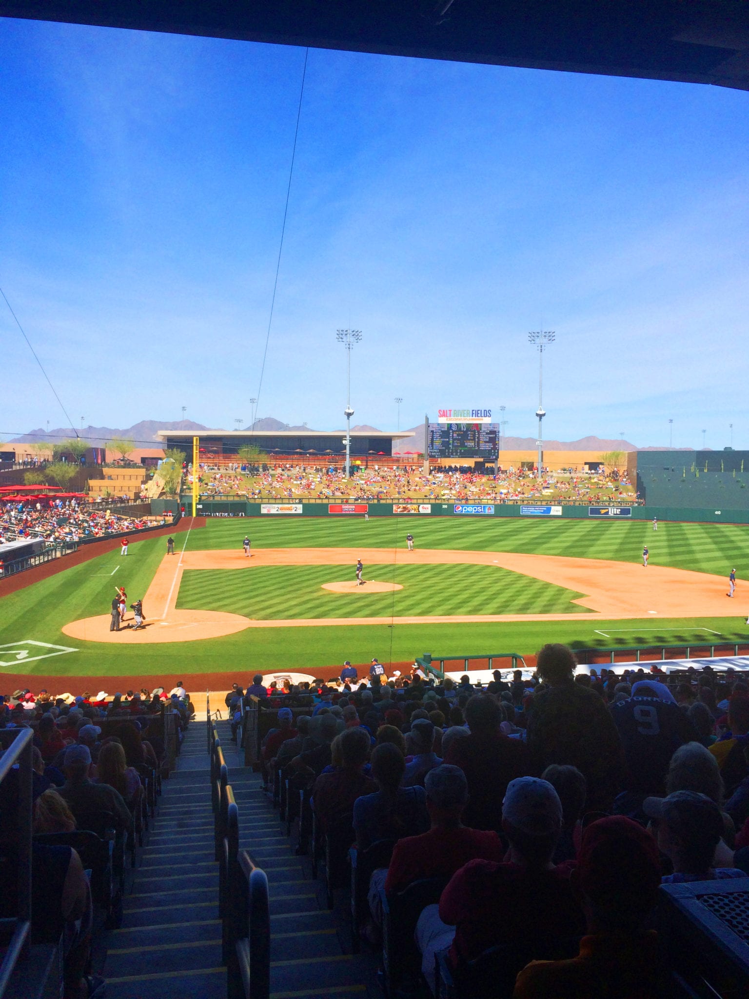 The Ultimate Guide to Cactus League Baseball Phoenix Spring Training