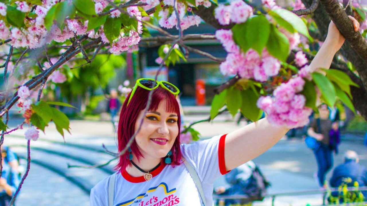 Hanami? Hana-you! Seeing Cherry Blossoms in Your Home Outside