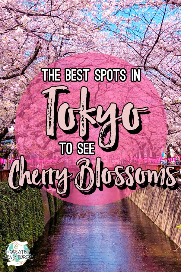 The 14 Best Scenic Spots to see Cherry Blossoms in Tokyo - The Creative ...