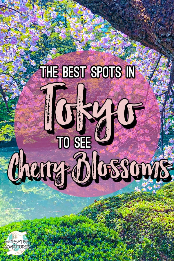 The 14 Best Scenic Spots to see Cherry Blossoms in Tokyo - The Creative ...