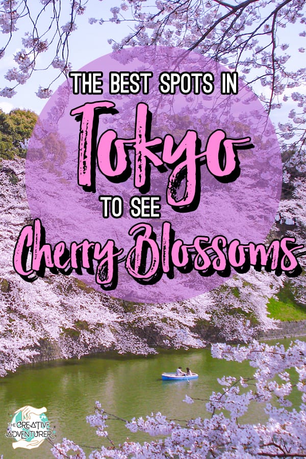 The 14 Best Scenic Spots to see Cherry Blossoms in Tokyo - The Creative ...