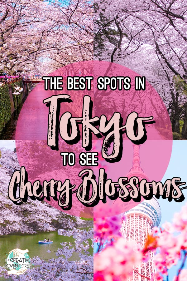 The 14 Best Scenic Spots to see Cherry Blossoms in Tokyo - The Creative ...