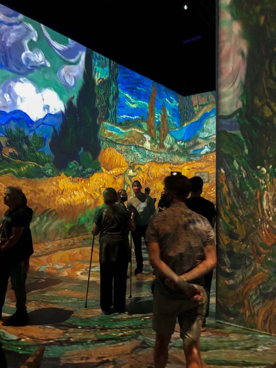 Everything You Need About Beyond Van Gogh’s Unforgettable Immersive 