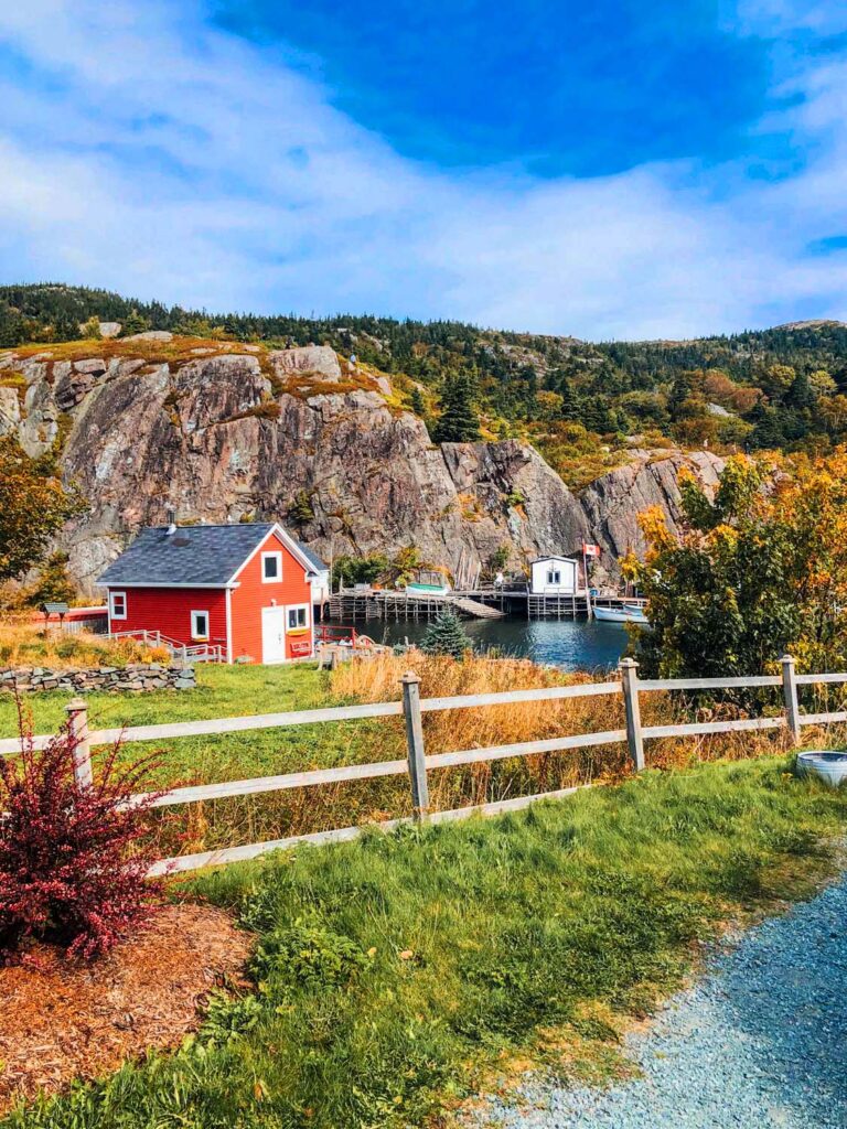 quidi vidi brewery tour