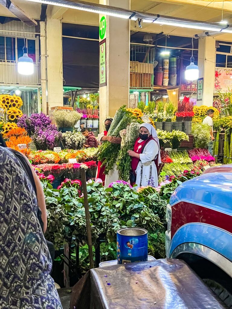 Horas Markit Xxx Video - The Ultimate Self Guided Tour of Mercado Jamaica, the Best Flowers Market  in Mexico City - The Creative Adventurer