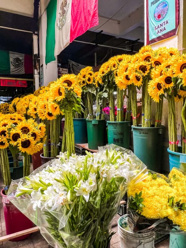 The Ultimate Self Guided Tour of Mercado Jamaica, the Best Flowers