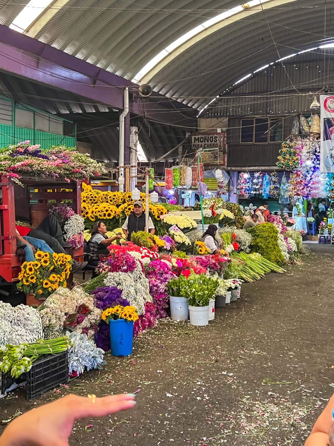 The Ultimate Self Guided Tour of Mercado Jamaica, the Best Flowers ...