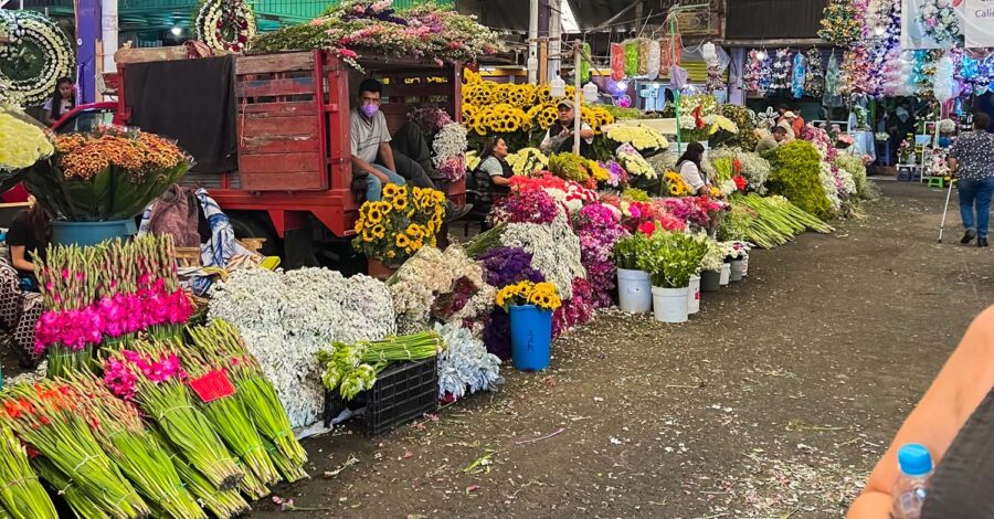 tours flower market