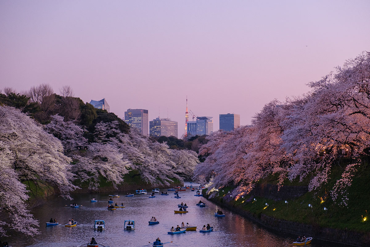 The 14 Best Scenic Spots to see Cherry Blossoms in Tokyo - The Creative ...