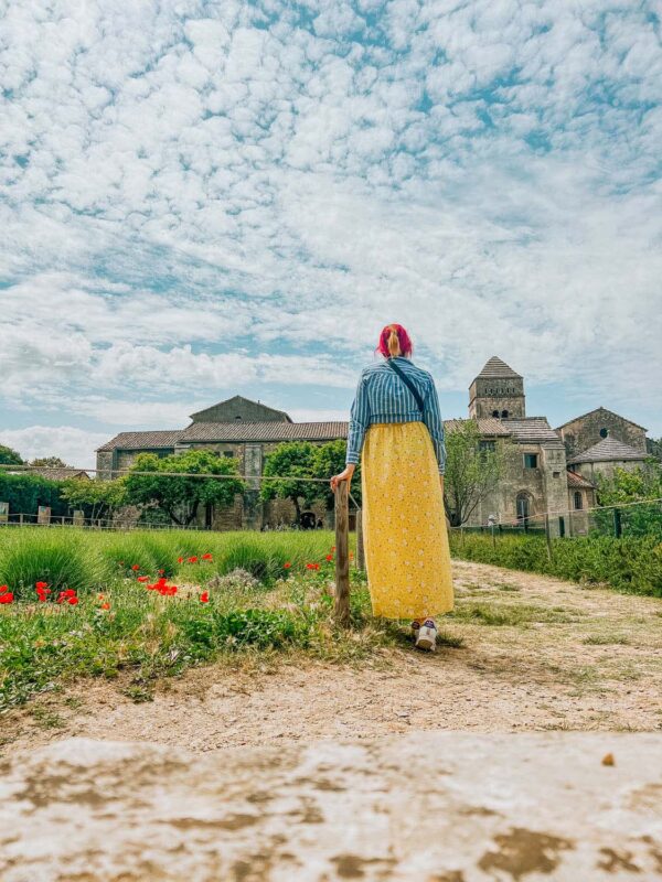 The Ultimate SelfGuided Tour of SaintRémydeProvence in the