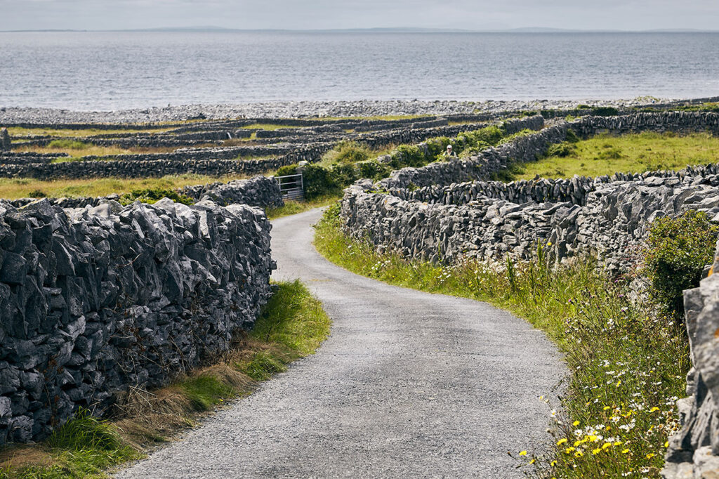 how to travel ireland without a car